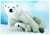 Puzzle 1000 pièces - Ours Polaire et son ourson - Eurographics