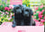 Puzzle 500 pièces - Pièces XXL - Labradors Noirs dans une Boîte Rose - Eurographics