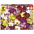 Puzzle 1000 pcs – Collage Orchidees - Educa Borras - Rouge