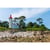 Puzzle 1000 Pièces Phare Sainte Marine - Alipson