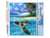 Peinture par Numéro Figured'Art - Tortue détendue - Kit de Loisir Créatif DIY Numéro d'Art Complet - 40x50cm sans châssis en bois