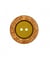 Bouton manteau à rebord doré 2 trous 23 à 28mm - Prym 28 vert olive