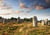 Puzzle 500 pièces Menhirs de Carnac - Alipson