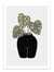 Affiche 30 x 40 cm - Body-tanical Vase - Orara Studio