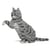 Chat Tigré gris clair qui donne la patte | JEKCA | 14 ans et +