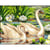 Princesse - Canevas antique Les cygnes Mimo Verdé 50x65cm