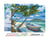 Peinture par Numéro Figured'Art avec Cadre - Barque sous les Cocotiers - Kit de Loisir Créatif DIY Numéro d'Art - 40x50cm toile tendue sur châssis