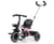 Tricycle  Axel Nouveau Rose