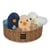 Peluche poussin ( modèle aléatoire ) - 15 cm