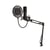 Nedis Microphone USB Pro avec Bras et Filtre POP Noir