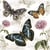 Lot de 4 serviettes en papier découpage collage 33 cm PAPILLON RETRO