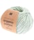 Coton à tricoter Essentials Organic Cotton DK - Rico Design Bleu (009 - AQUA)