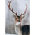 Tableau sur toile cerf sous la neige 45x65 cm