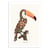 Affiche 30x40 cm - Boho Toucan - Jonas Loose