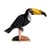 Maquette 3D en papier Toucan - Fridolin