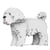 Chien Bichon Maltais Taille standard | JEKCA | 14 ans et +