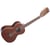 KA-8 Gloss Mahogany Tenor 8 cordes Kala