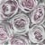 Lot de 4 serviettes en papier découpage collage 33 cm Sagen VINTAGE ROSE