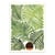 Affiche 30x40 cm - Summer Fern - Kristian Gallagher