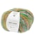 Découvrez l'Élégance Naturelle : Pelote de Laine et Alpaga LIGHT LUXURY HAND-DYED de RICO Design 06 Foret vert