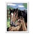 Creart chevaux tendresse 18x24cm - numero d'art animaux - ravensburger - 258116 - peinture