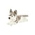 Peluche Husky couche 42 centimetre - Anima - Noir