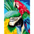 LUC - Kit canevas Perroquet 25x30cm