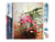 Diamond Painting Broderie Diamant Figured’Art 40x50cm toile entière roulée avec diamants carrés - Côté d'une serre