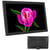 Cadre Photo Numérique LED 21.5 Pouces Haute Résolution 1080p USB SD EU Plug Noir YONIS