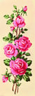 Canevas antique Roses roses 25x60cm