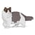 Chat Ragdoll gris | JEKCA | 14 ans et +