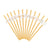 12 Pailles Daisy