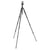 MANFROTTO Trépied MKBFRA4GTXP-BH Befree GT XPRO Aluminium