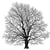 TAMPON ARBRE - 100X100 MM -BOIS