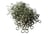 110 Anneaux ouverts 4mm métal couleur argent vieilli