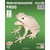 Quay - Maquette en bois Grenouille