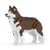 Chien Husky marron Taille standard | JEKCA | 14 ans et +