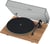 Pro-Ject T1 EVO Phono Noyer