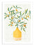 Affiche 30 x 40 cm - Chinese citrus tree - Kristian Gallagher