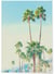Poster Nature Tropicale 4 | A3 : 29,7x42cm