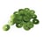 Sachet 30Gr Sequins 6 Vert