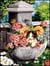 Canevas antique Fontaine surprise 40x50cm