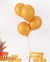Ballon Ø 30cm - lot de 10 - orange
