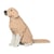 Chien Golden Retriever assis pattes sales beige Taille standard | JEKCA | 14 ans et +
