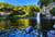 Puzzle 1000 pièces - Bassin de la Paix, La Réunion, France - Bluebird Puzzle