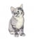 Ecussons Thermocollant Chats 3,5 X 6,5 cm - Mediac Gris