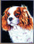 Canevas Pénélope Antique Le cavalier King Charles 30x40cm