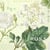 Lot de 4 serviettes en papier découpage collage 33 cm FLEUR BLANCHE FEUILLAGE FL 504