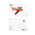 CARTE POSTALE AVION