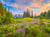 Puzzle 2000 pièces - Fleurs du Matin - Castorland